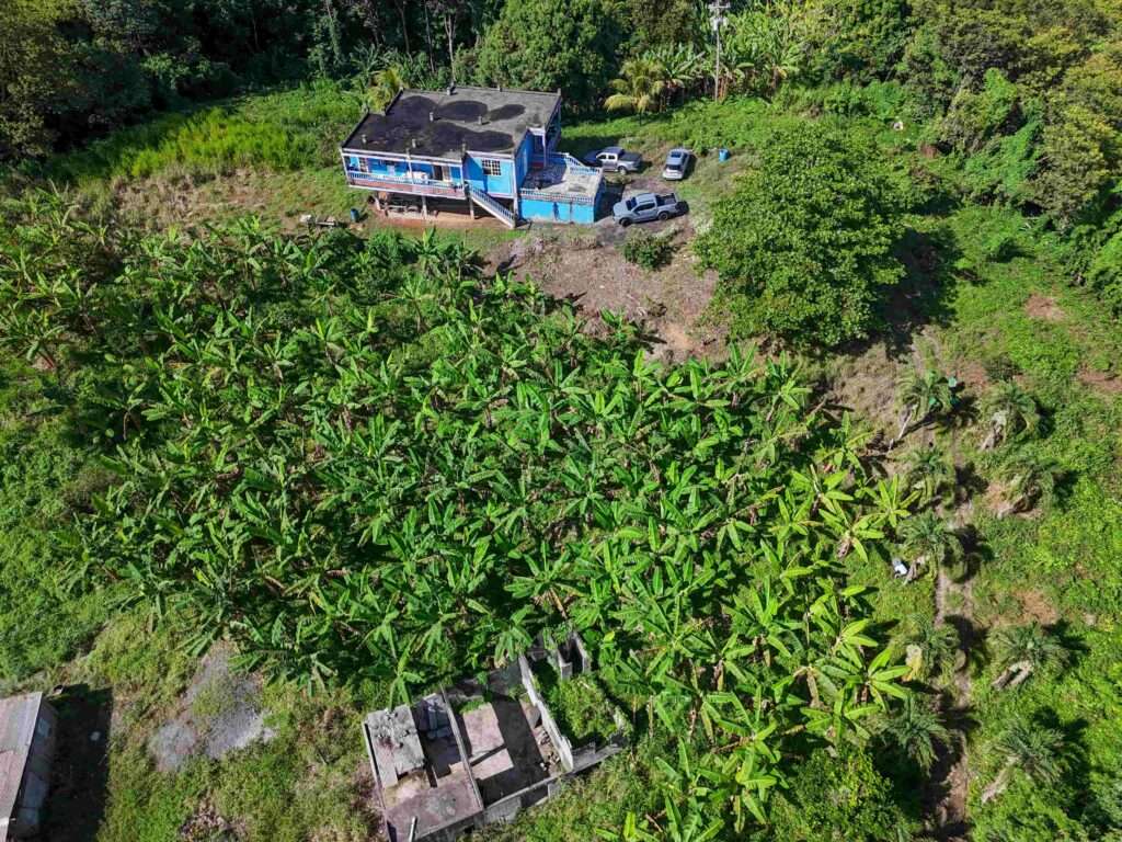 DJI_20250510152104_0546_D