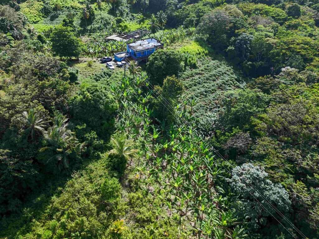 DJI_20250510152220_0548_D